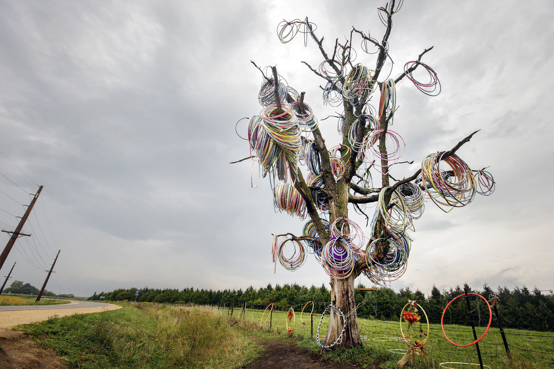 HULA HOOP TREE